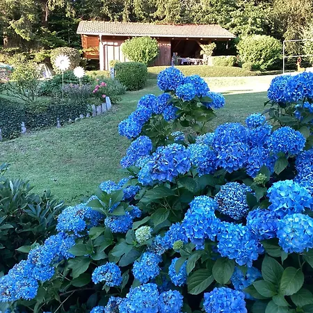 Haus Waldblick Апартаменты